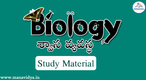 Biology-Respiratory System Study Material by Manavidya