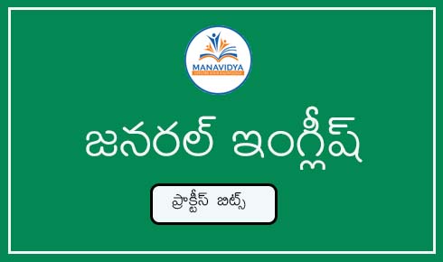 Manavidya general english practice bits